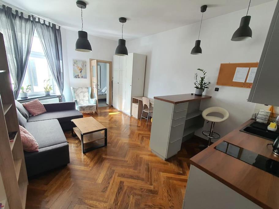 Apartament Przy Szkole Filmowej, Darmowy Parking Лодз Екстериор снимка